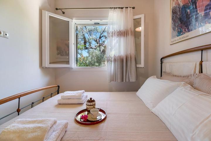 Poly'S Villa Lefkada Apolpaina Luaran gambar